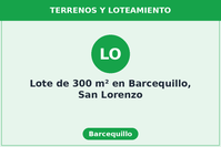 Lote de 300 m² en Barcequillo, San Lorenzo