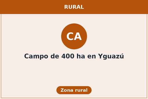 Campo de 400 ha en Yguazú