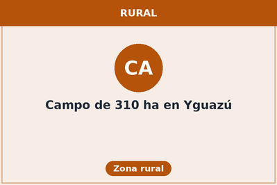 Campo de 310 ha en Yguazú